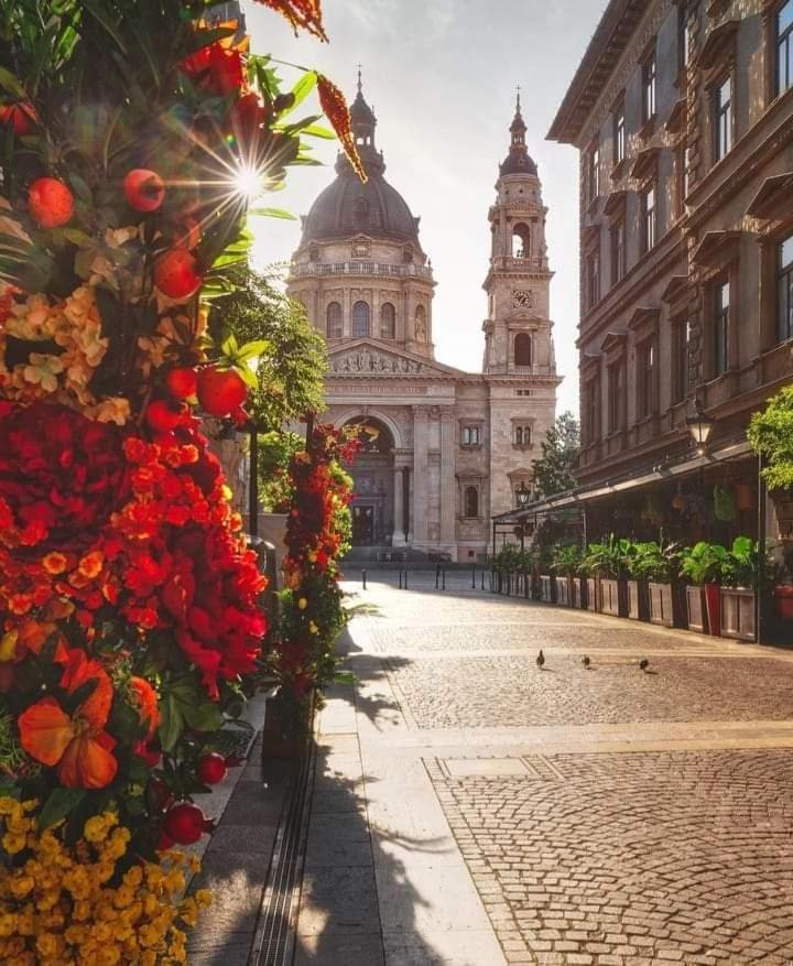 Appartamento Downtown Elegance Budapest Esterno foto